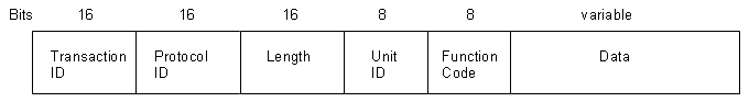 TCP Frame Format