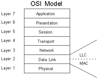 OSI Model