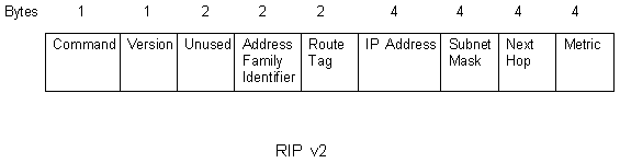 RIPv2 Packet